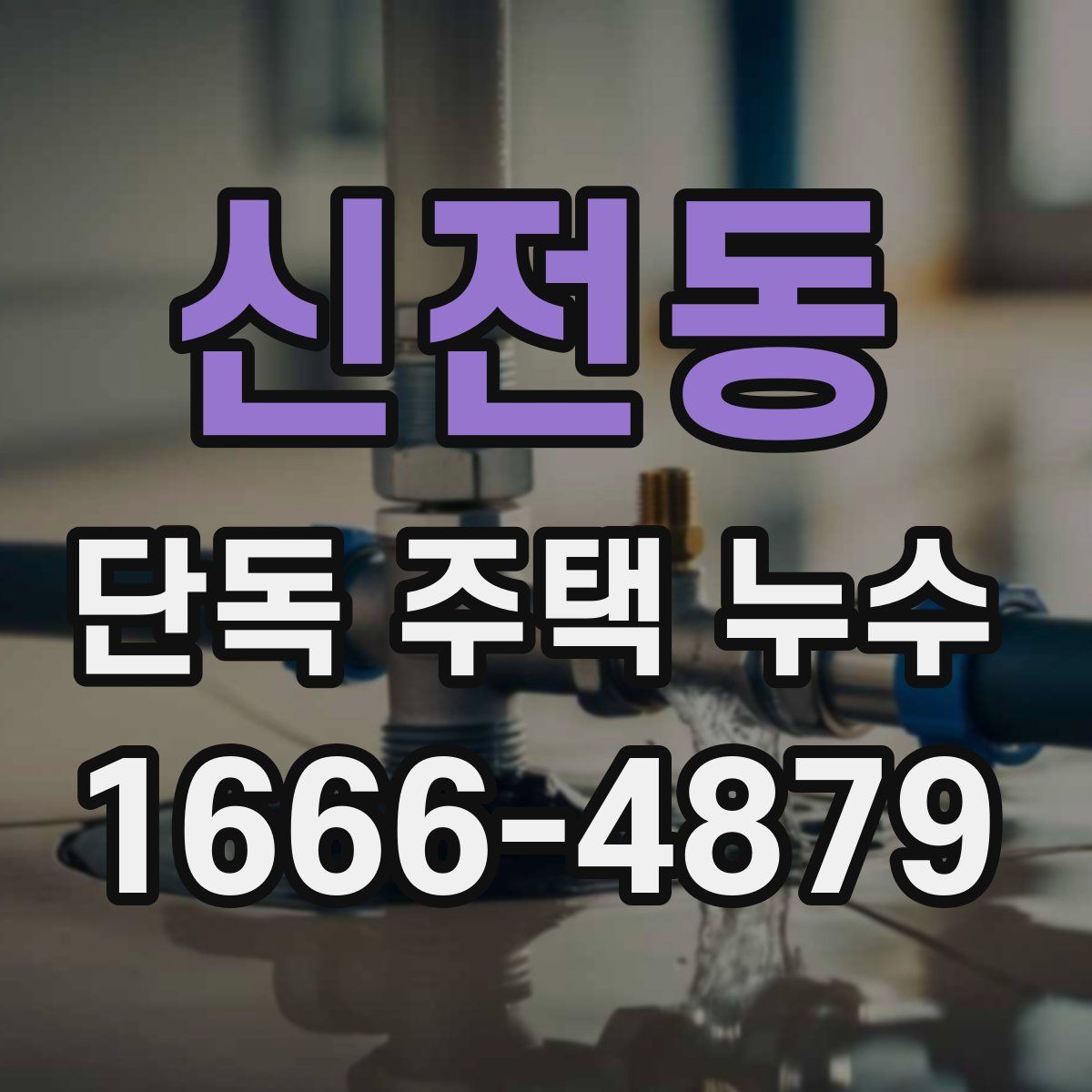 신전동 단독 주택 누수