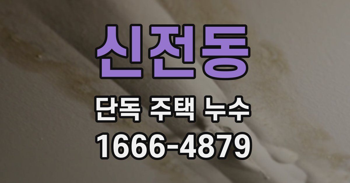 신전동 단독 주택 누수