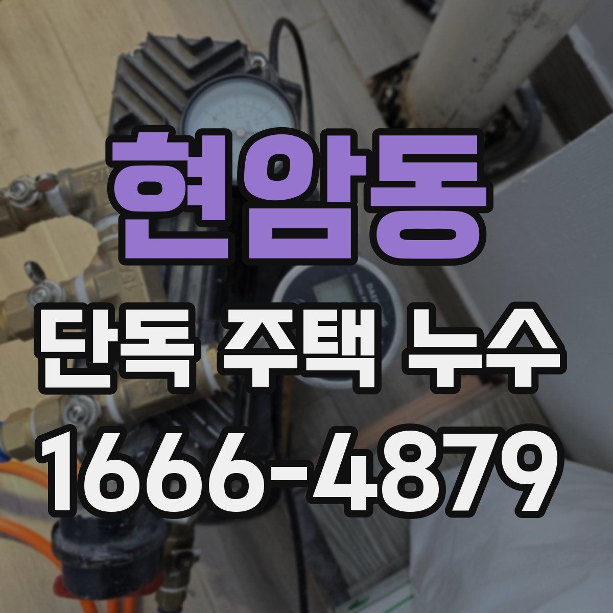 현암동 단독 주택 누수