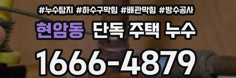 현암동 단독 주택 누수