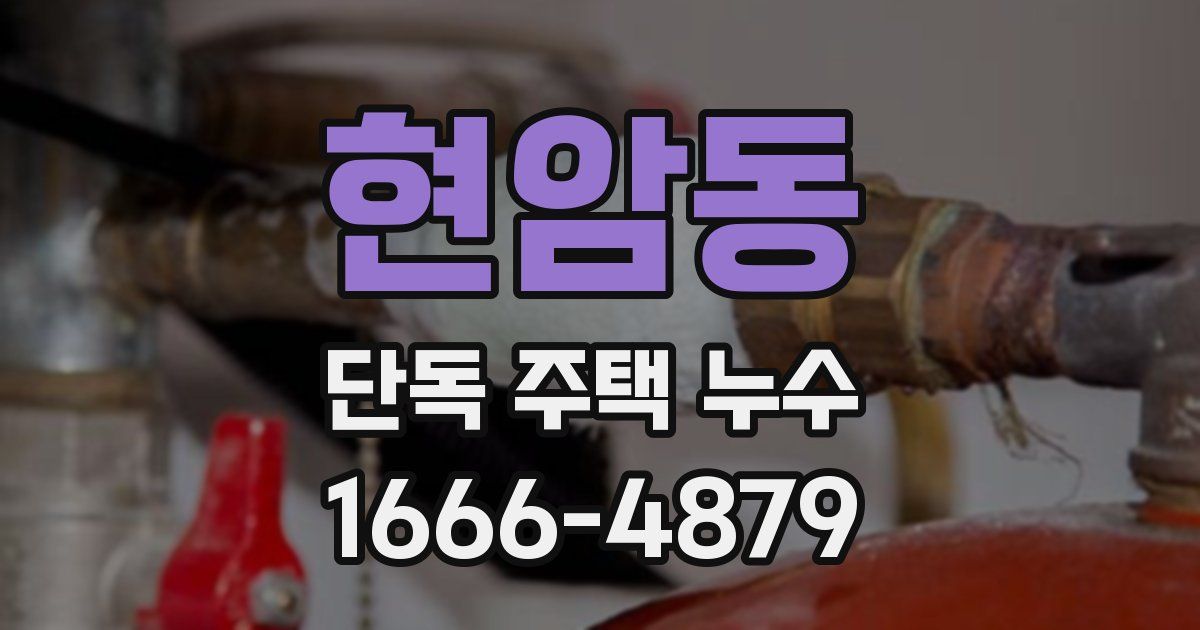 현암동 단독 주택 누수