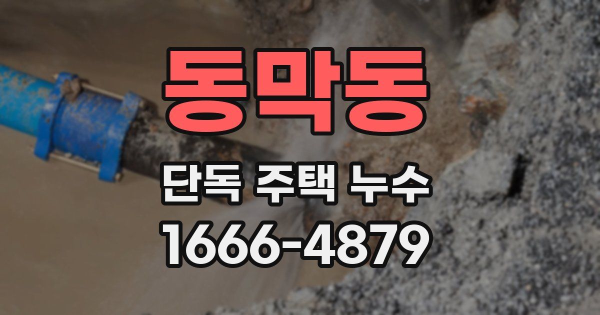 동막동 단독 주택 누수