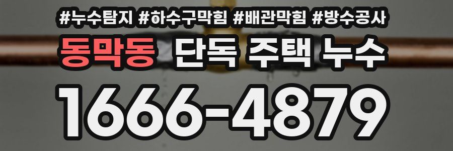 동막동 단독 주택 누수