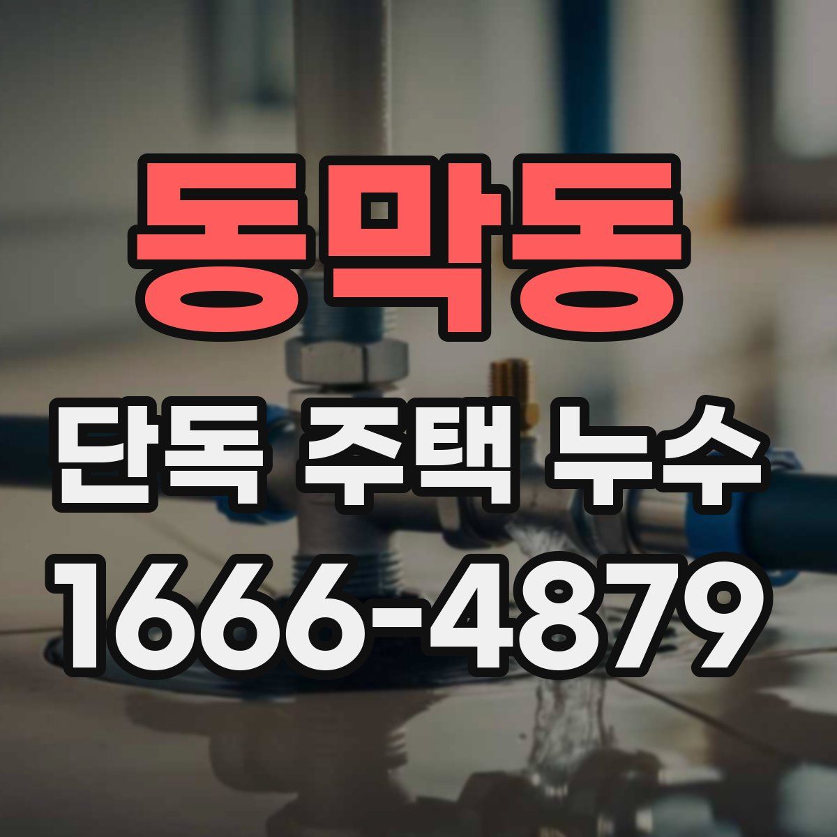 동막동 단독 주택 누수