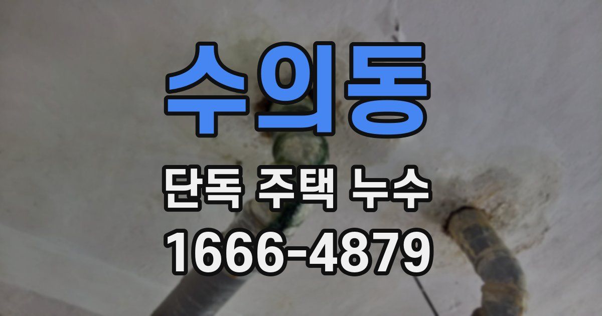 수의동 단독 주택 누수