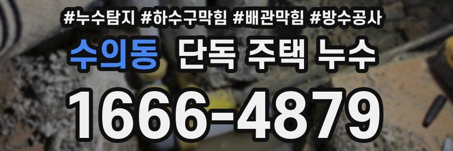 수의동 단독 주택 누수