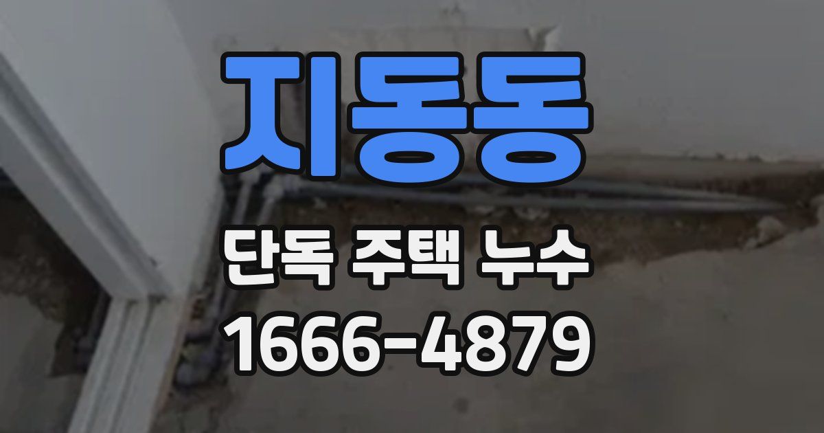 지동동 단독 주택 누수