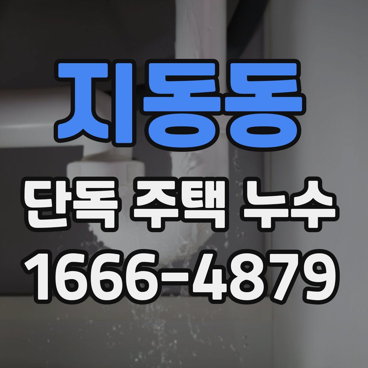 지동동 단독 주택 누수