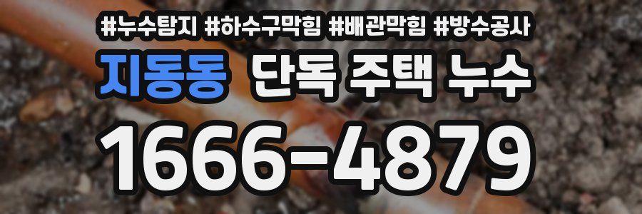 지동동 단독 주택 누수