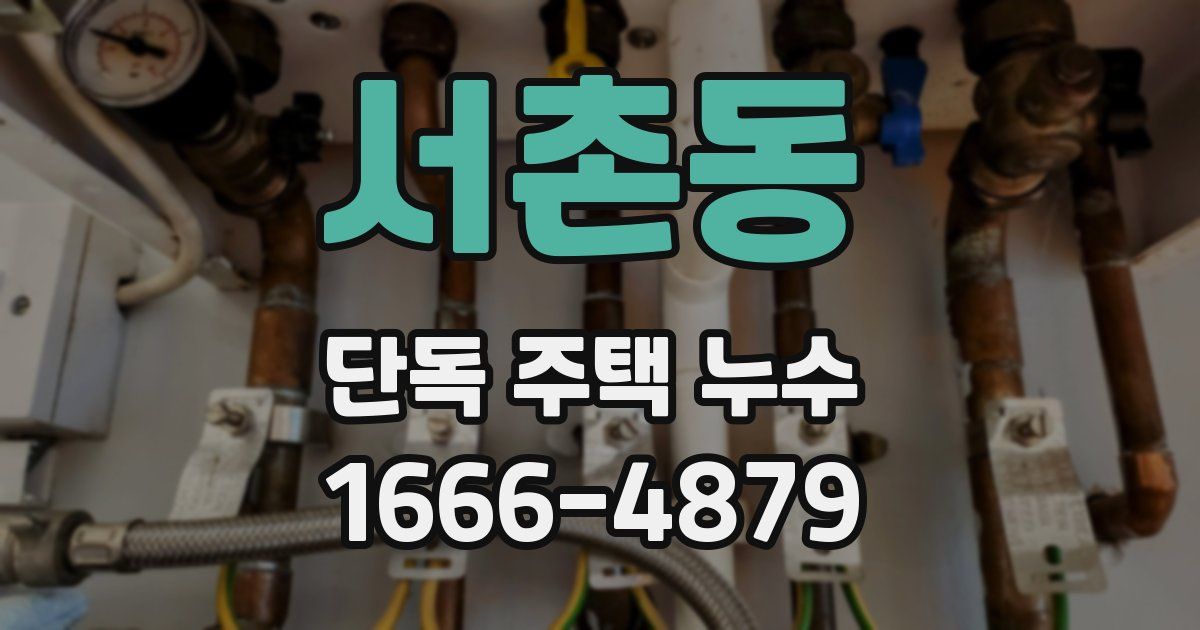 서촌동 단독 주택 누수