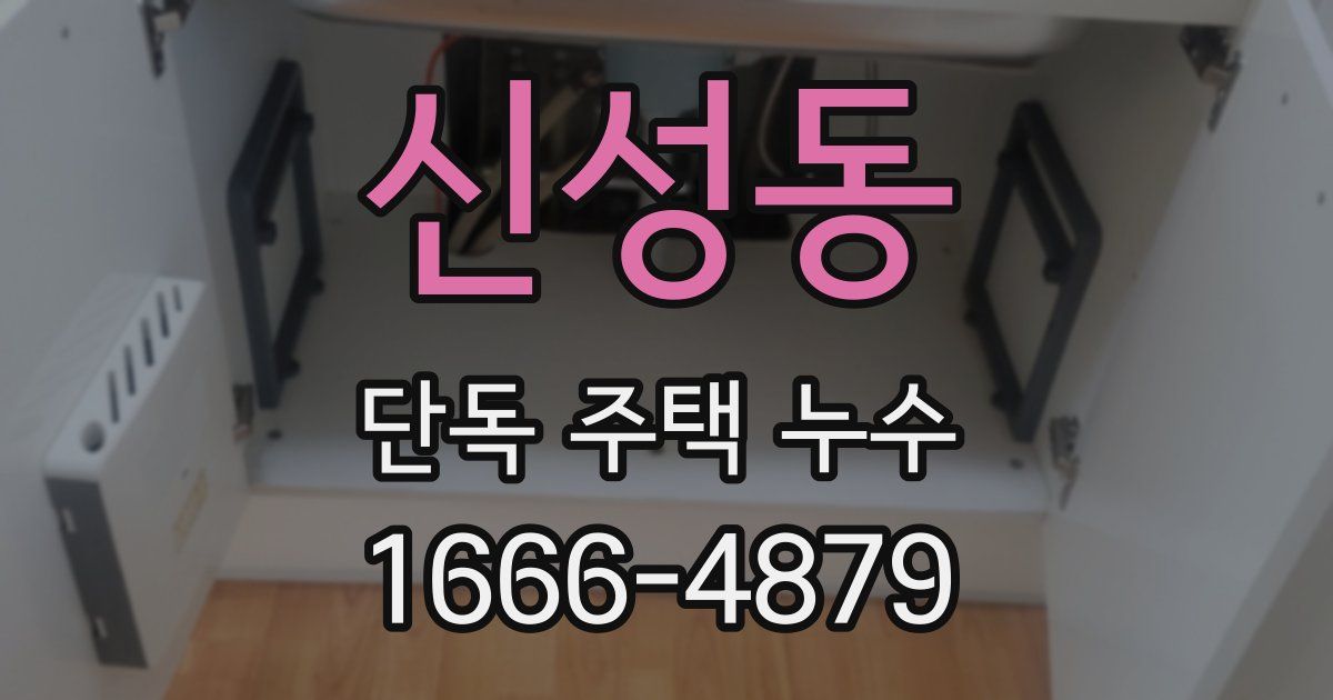 신성동 단독 주택 누수