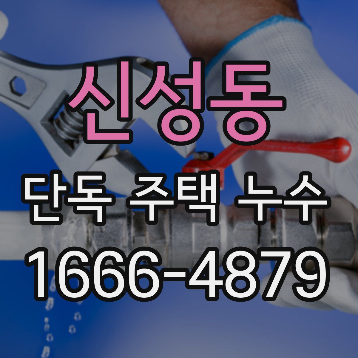 신성동 단독 주택 누수