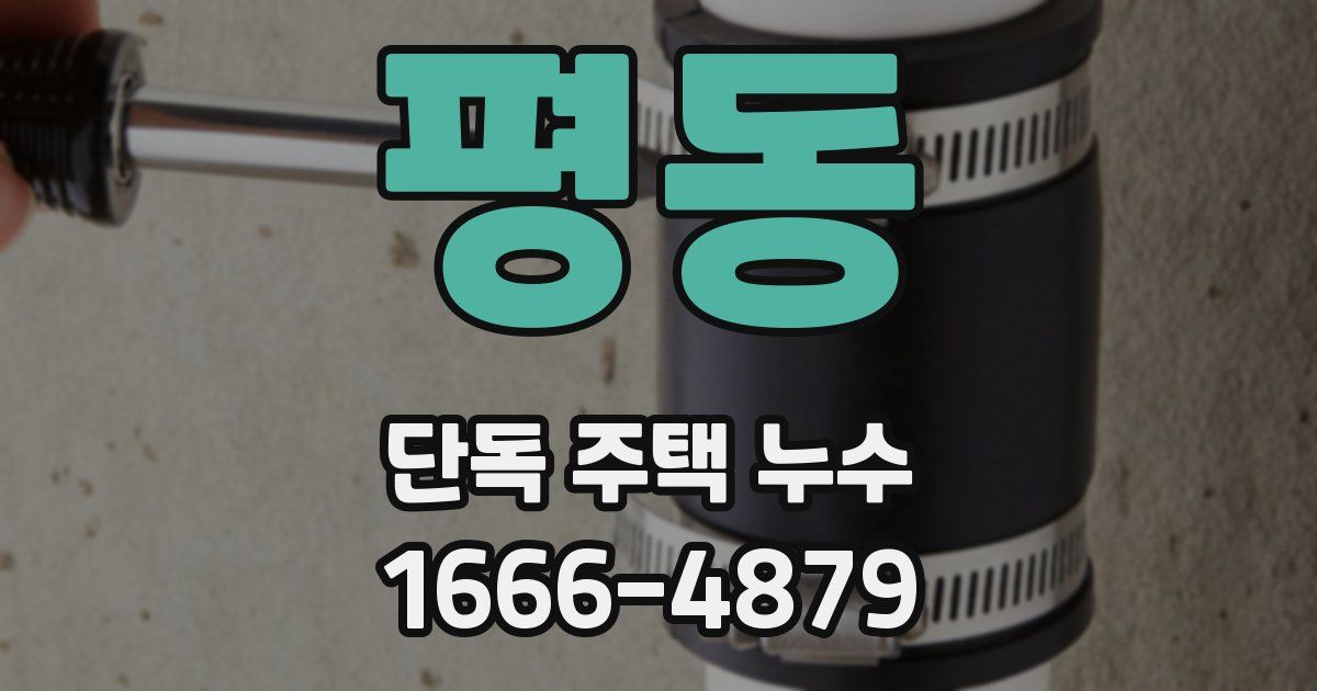 평동 단독 주택 누수