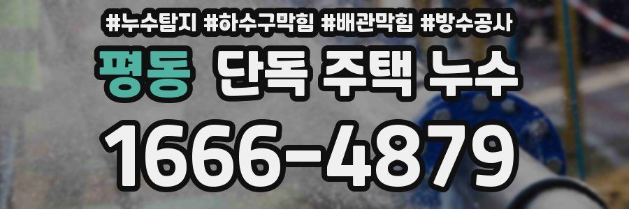 평동 단독 주택 누수