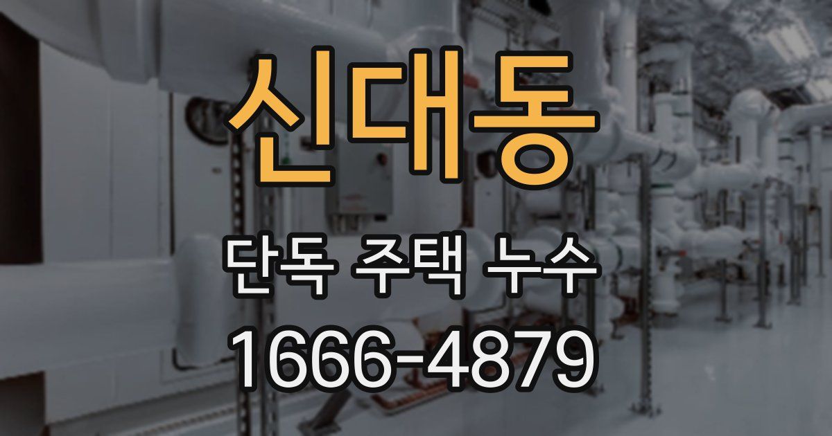 신대동 단독 주택 누수