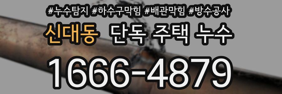 신대동 단독 주택 누수