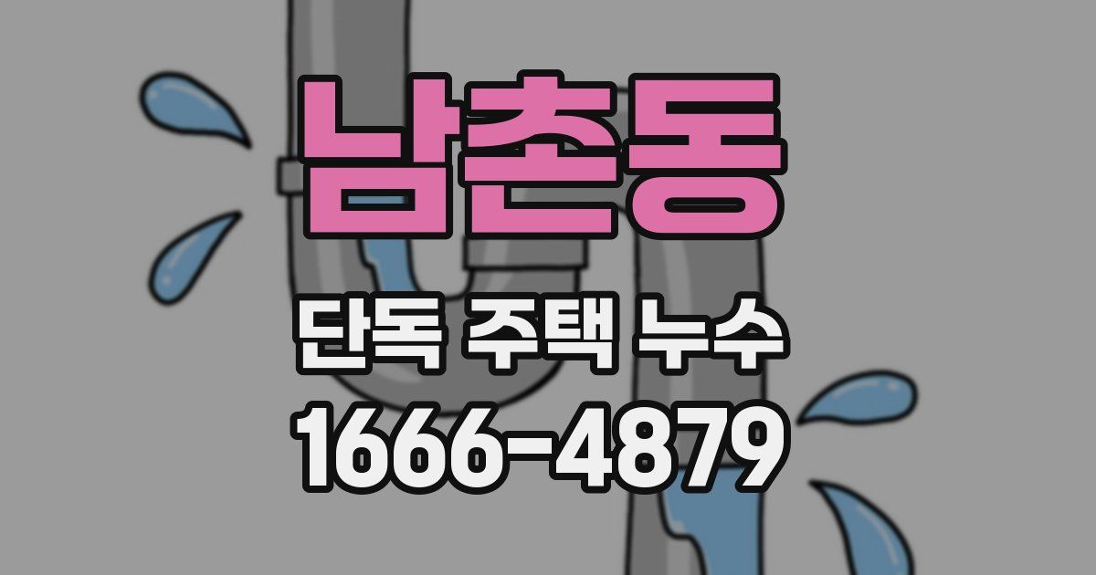 남촌동 단독 주택 누수