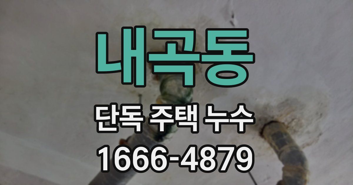 내곡동 단독 주택 누수