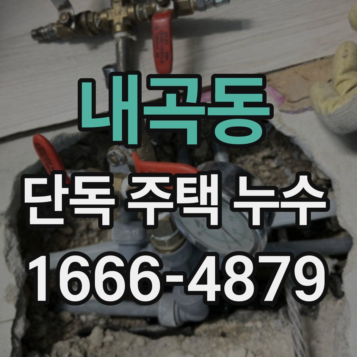 내곡동 단독 주택 누수