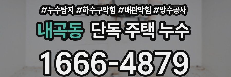 내곡동 단독 주택 누수