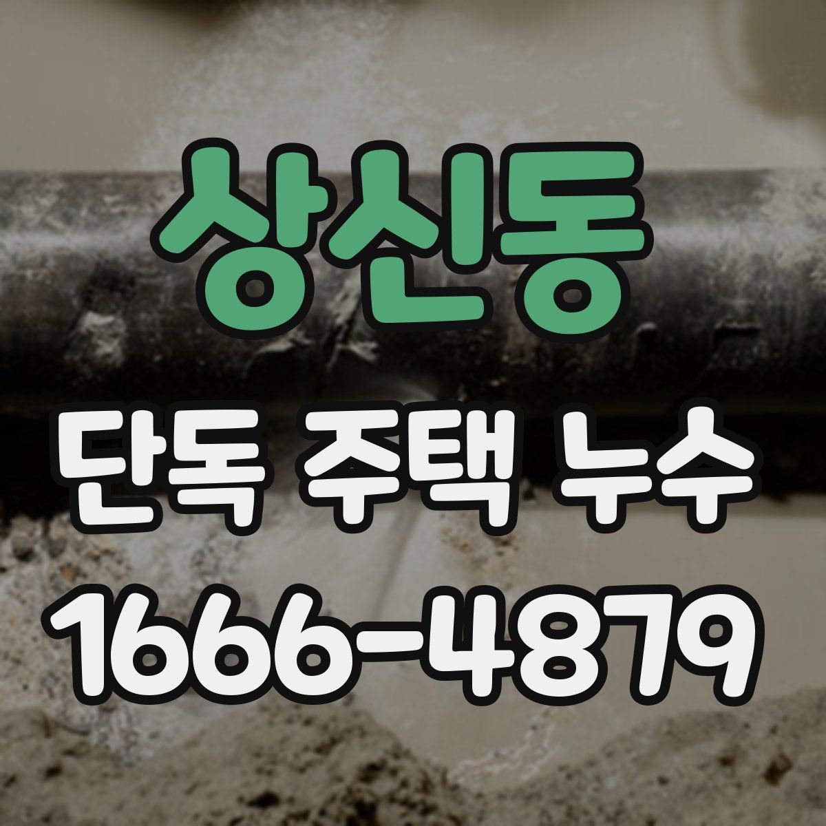 상신동 단독 주택 누수
