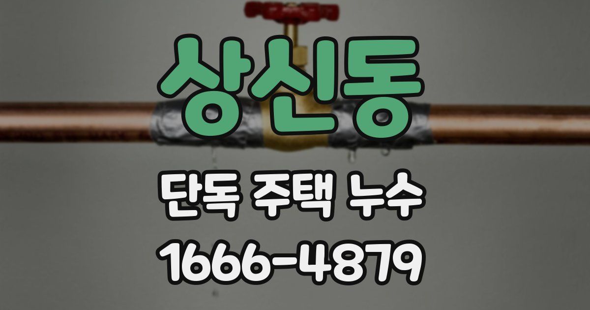 상신동 단독 주택 누수