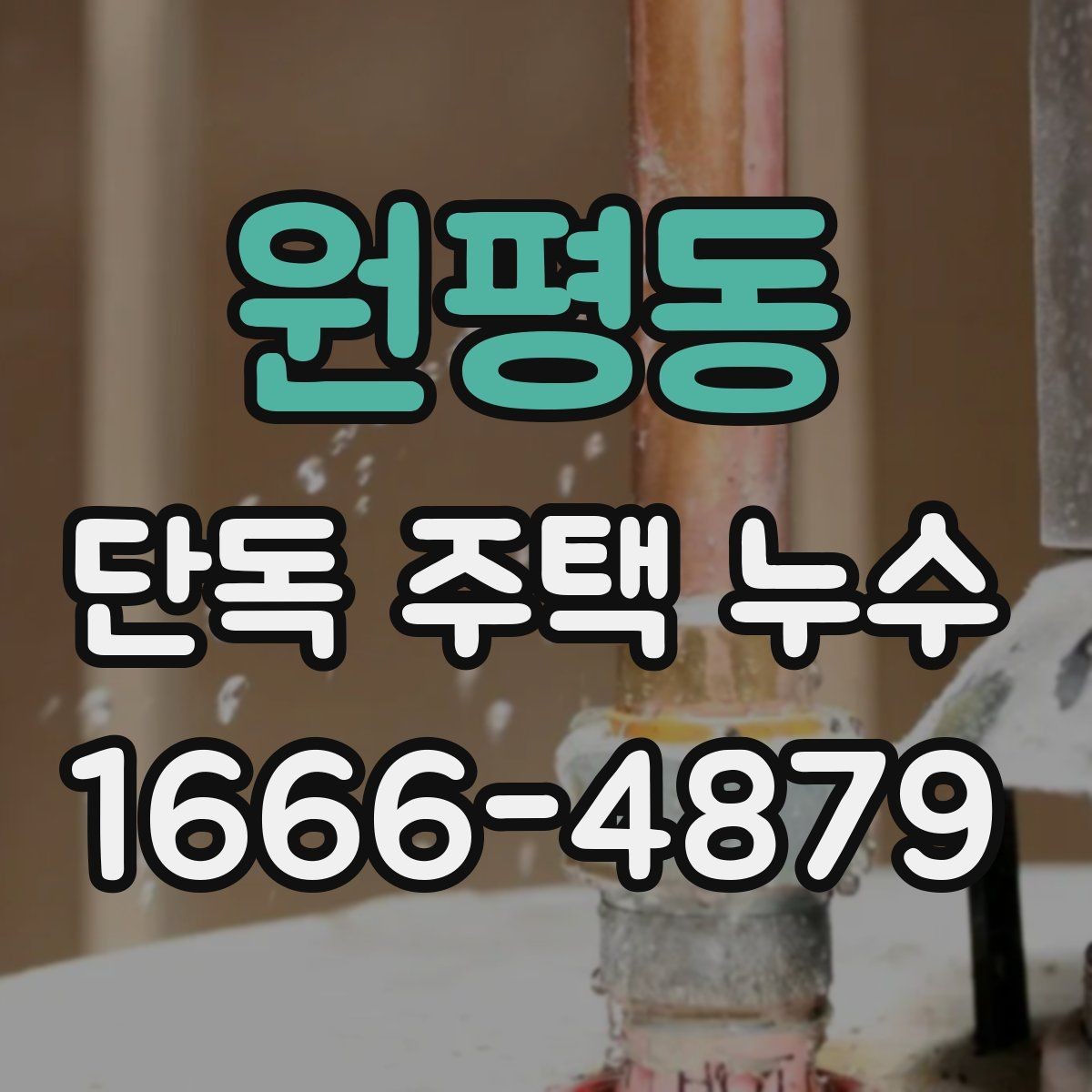 원평동 단독 주택 누수 보수 시 공정별 확인 사항