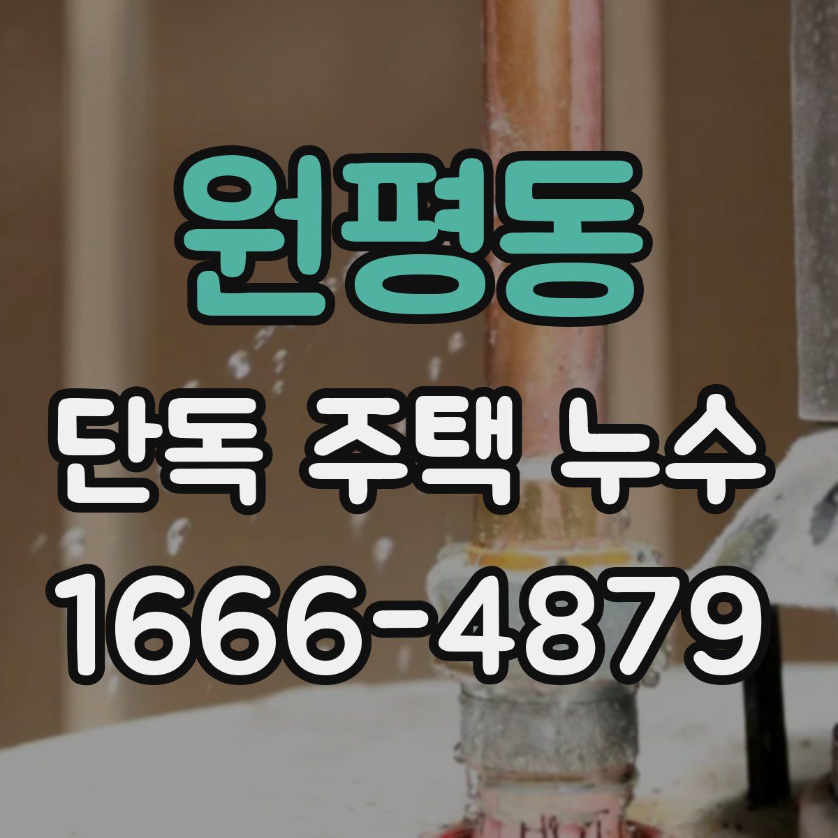 원평동 단독 주택 누수