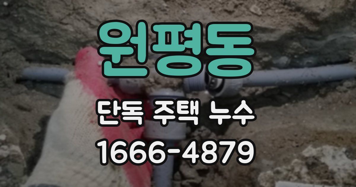 원평동 단독 주택 누수