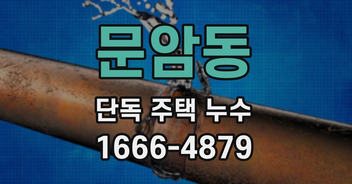 문암동 단독 주택 누수