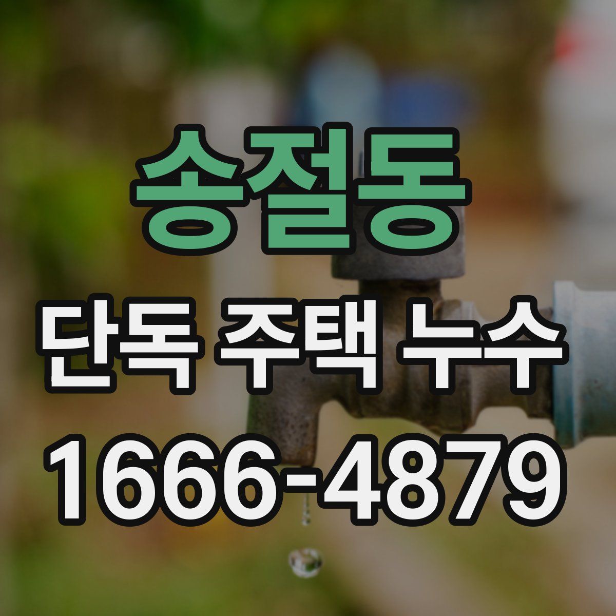 송절동 단독 주택 누수