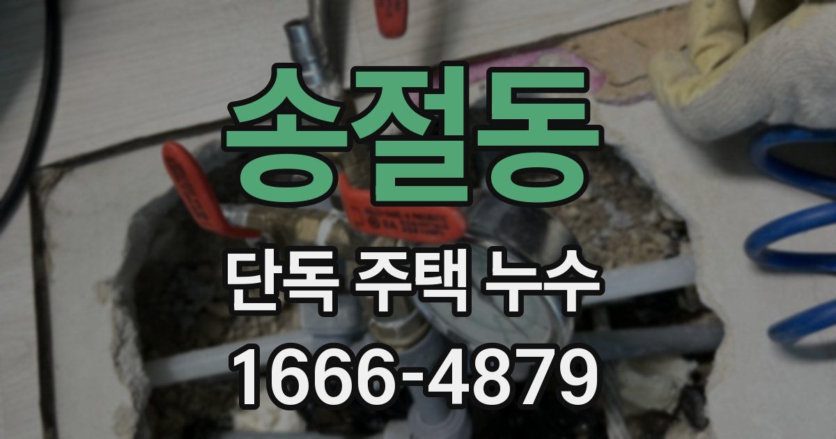 송절동 단독 주택 누수