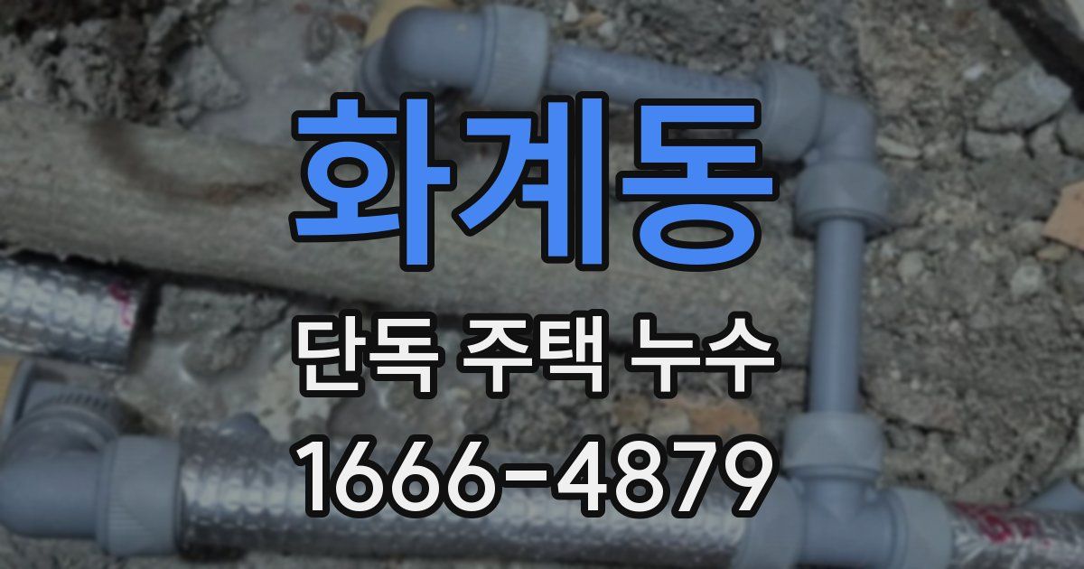 화계동 단독 주택 누수
