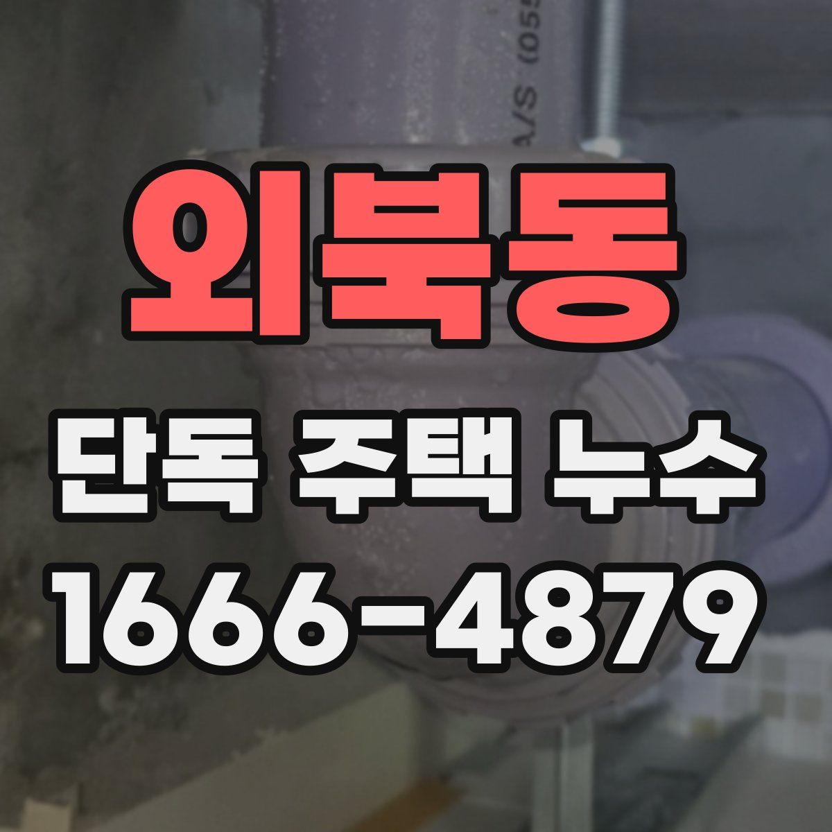 외북동 단독 주택 누수