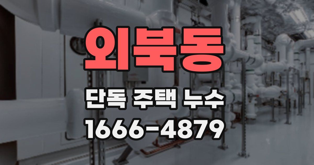 외북동 단독 주택 누수