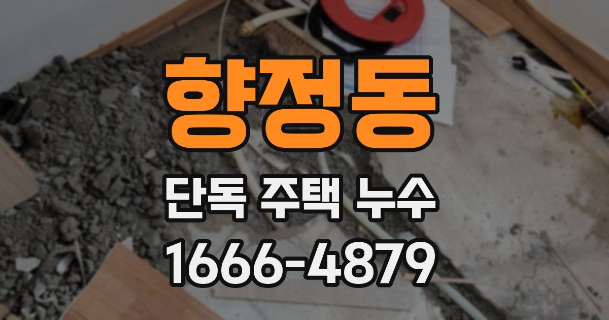 향정동 단독 주택 누수
