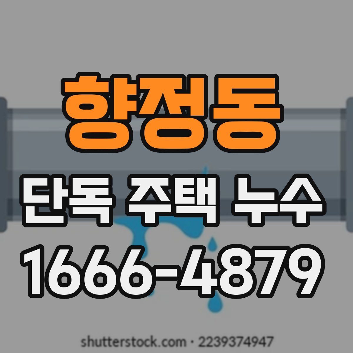 향정동 단독 주택 누수