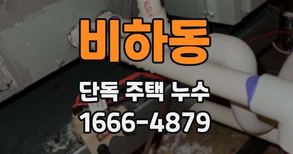 비하동 단독 주택 누수