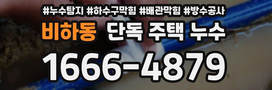 비하동 단독 주택 누수