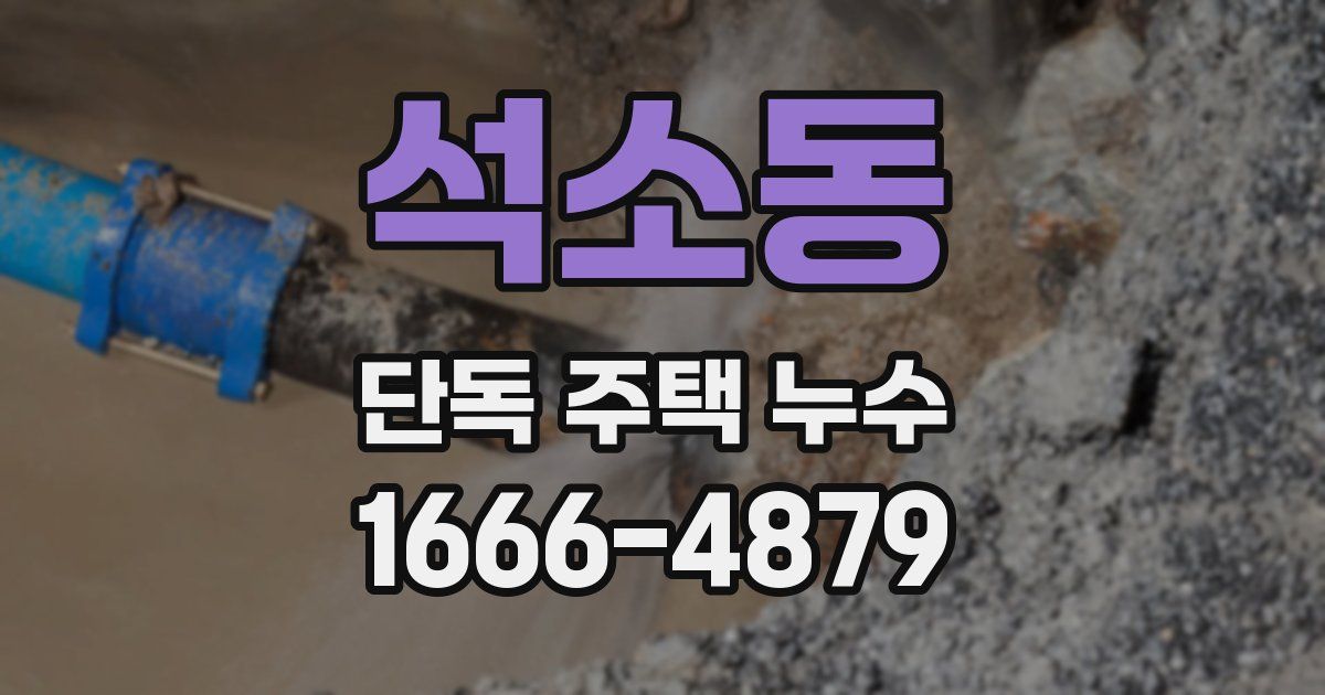 석소동 단독 주택 누수