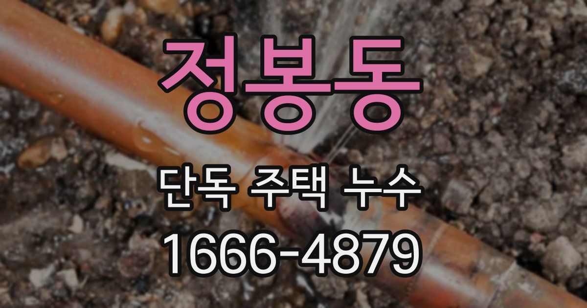 정봉동 단독 주택 누수
