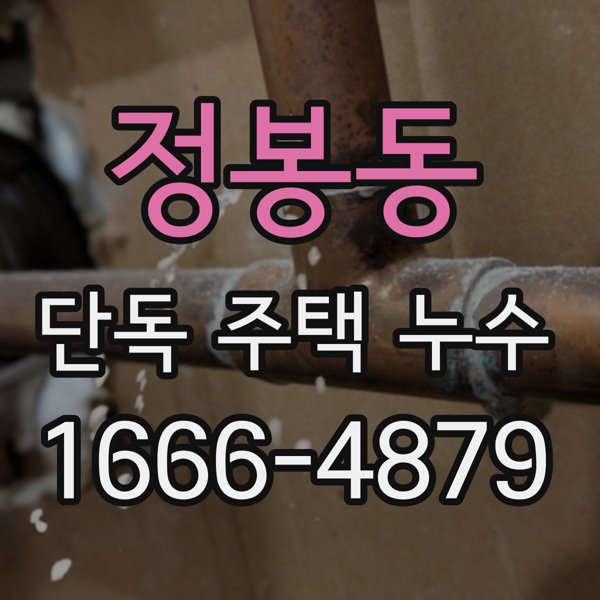 정봉동 단독 주택 누수