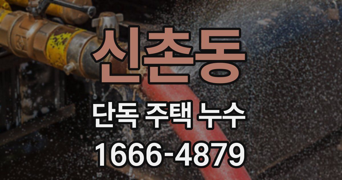 신촌동 단독 주택 누수