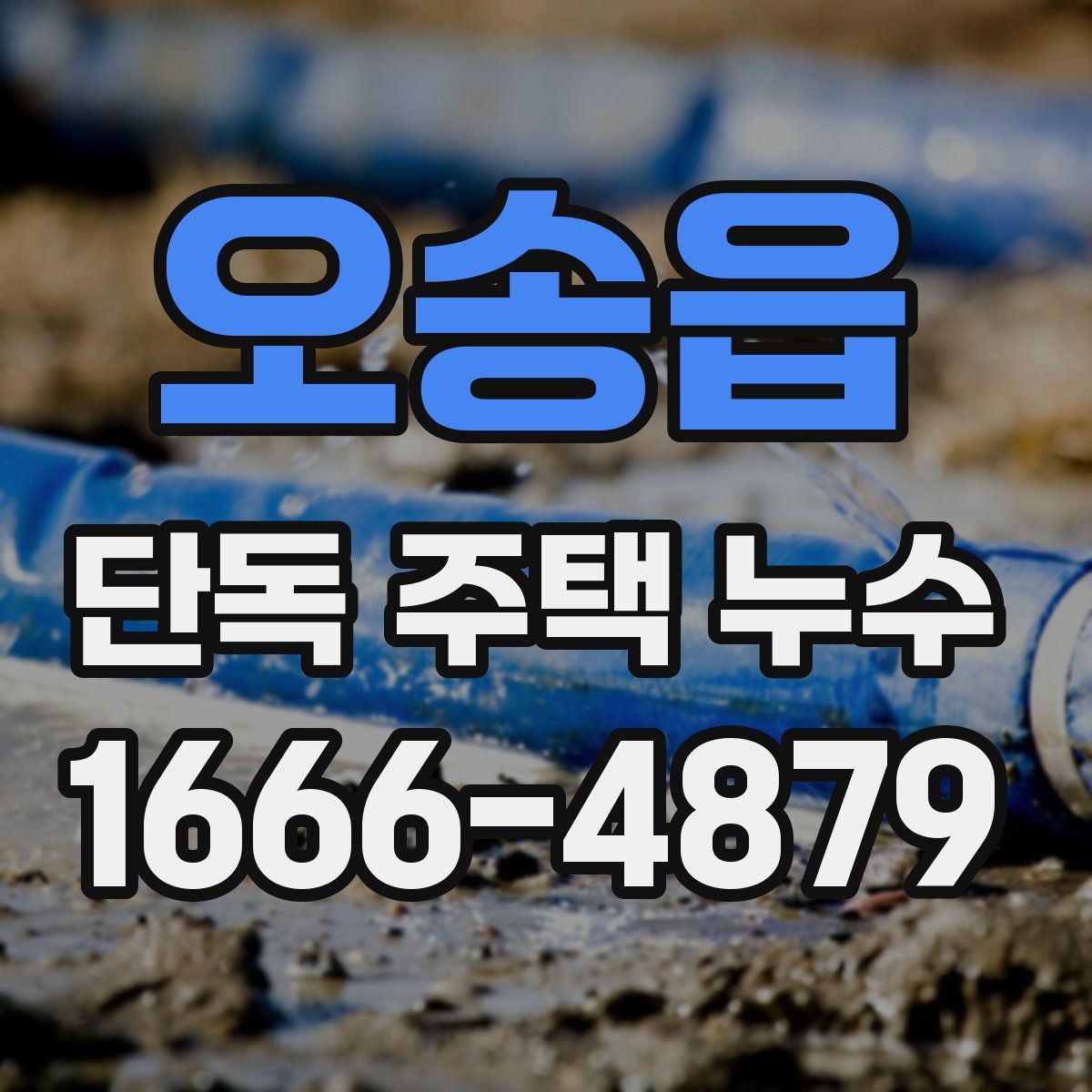 오송읍 단독 주택 누수