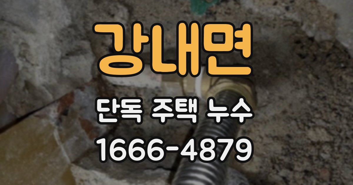 강내면 단독 주택 누수