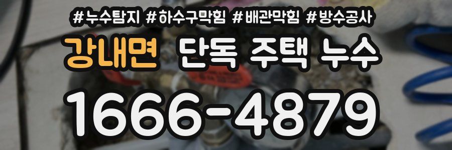 강내면 단독 주택 누수