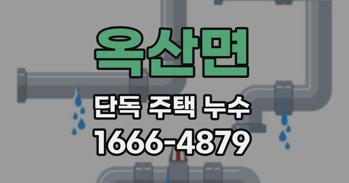 옥산면 단독 주택 누수