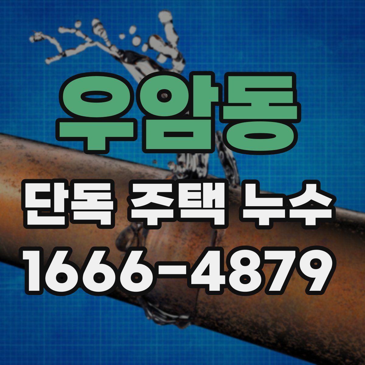 우암동 단독 주택 누수