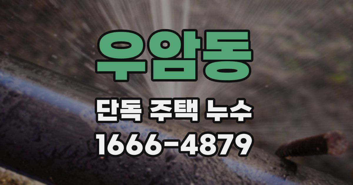 우암동 단독 주택 누수