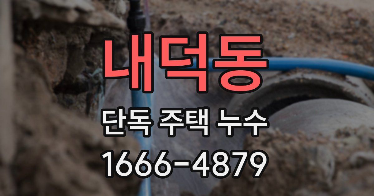 내덕동 단독 주택 누수